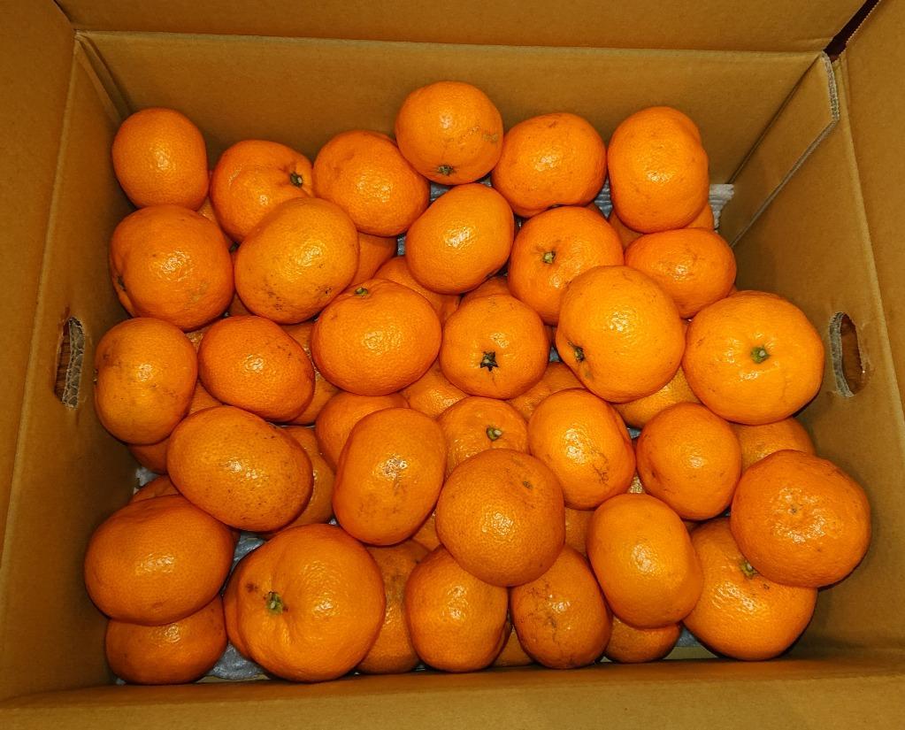 全体のレビュー画像 | 2-0