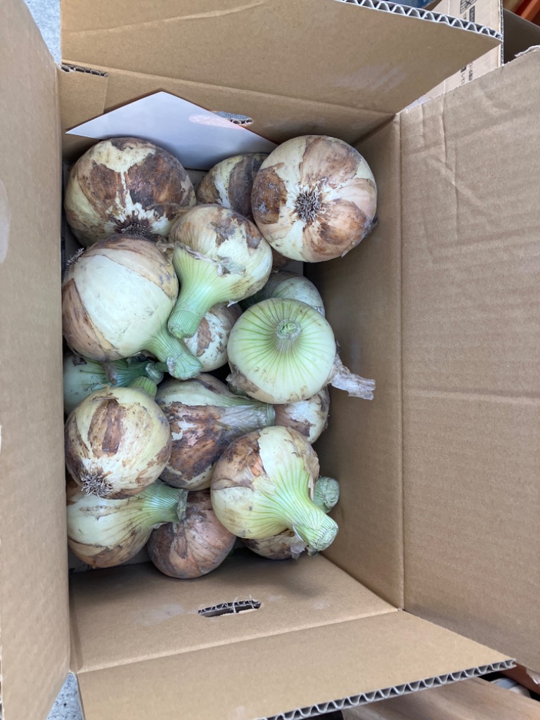 1件目のレビュー画像 | 0