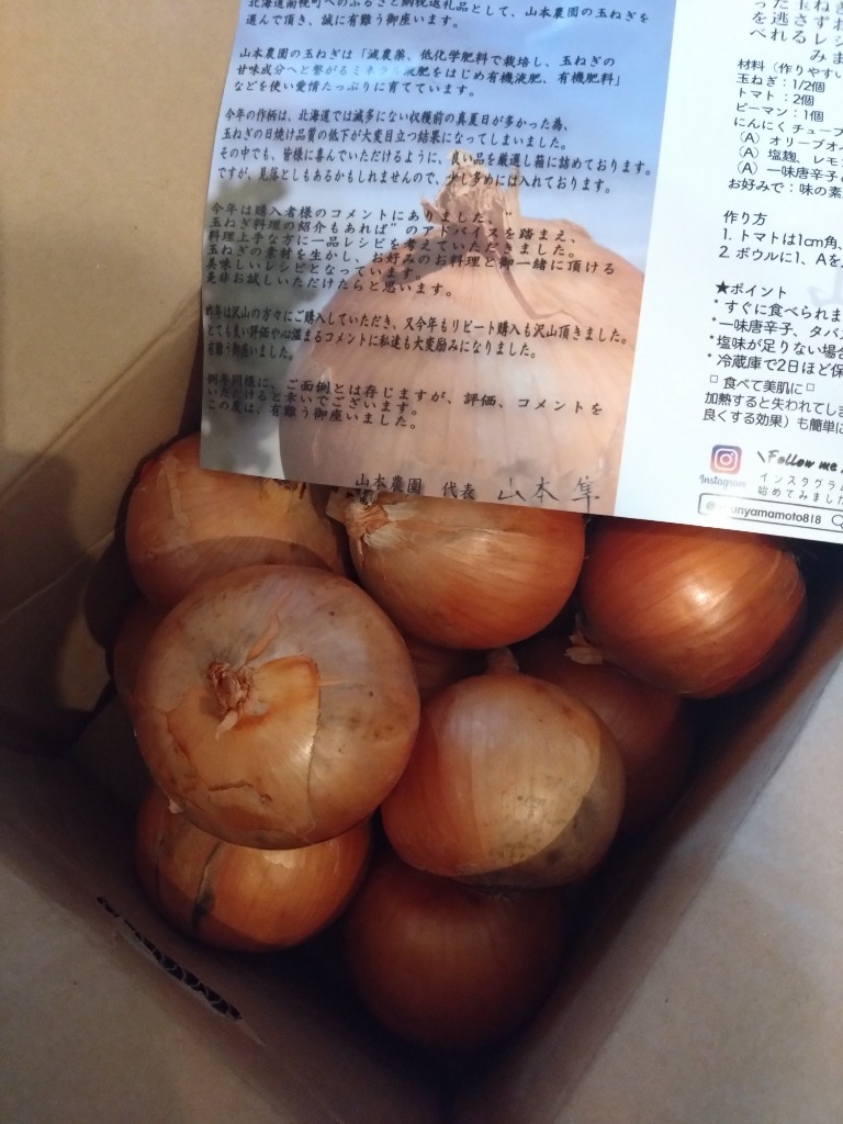 たまねぎ　5個 bad0ae5079d8aefd5e5f3d2b9fc036