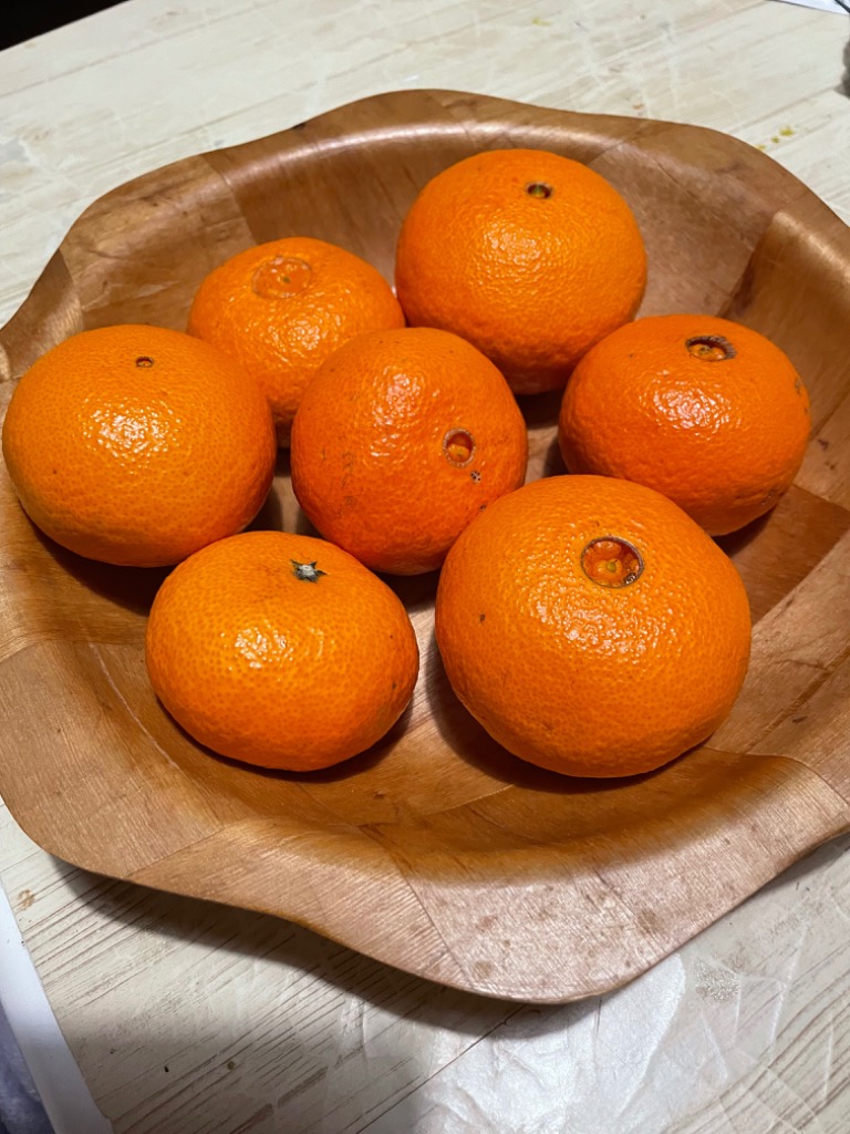 津之輝 訳あり5kg ／ せとかに似た新品種！ KS 送料無料 サイズ