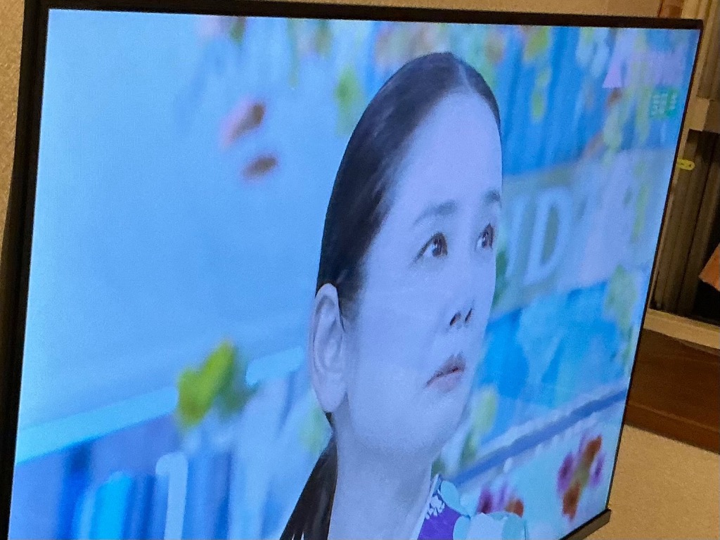 TOSHIBA REGZA 40V35N REGZA 液晶テレビ、薄型テレビ - 最安値