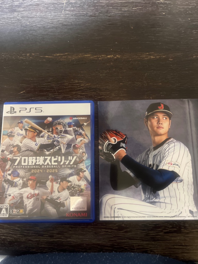 プロ野球スピリッツ2024-2025 【PS5】 VH004-J1 : ヤマダデンキ