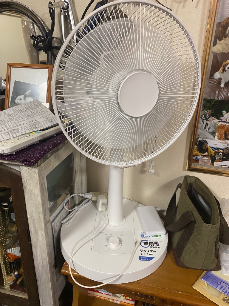 YAMAZEN RLT-BUD030 DCリビング扇風機 7枚羽根 30cm ダイヤル式風量無