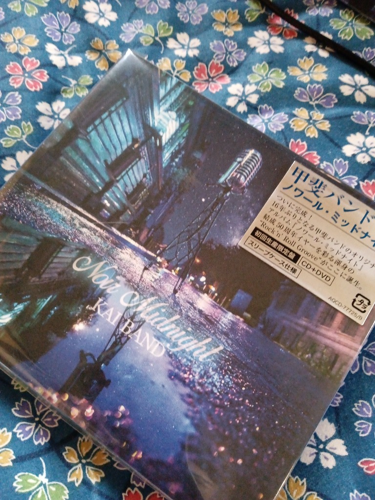 最終値下げ 廃盤 完全限定生産10枚組 甲斐バンドLIVE ボックス＋