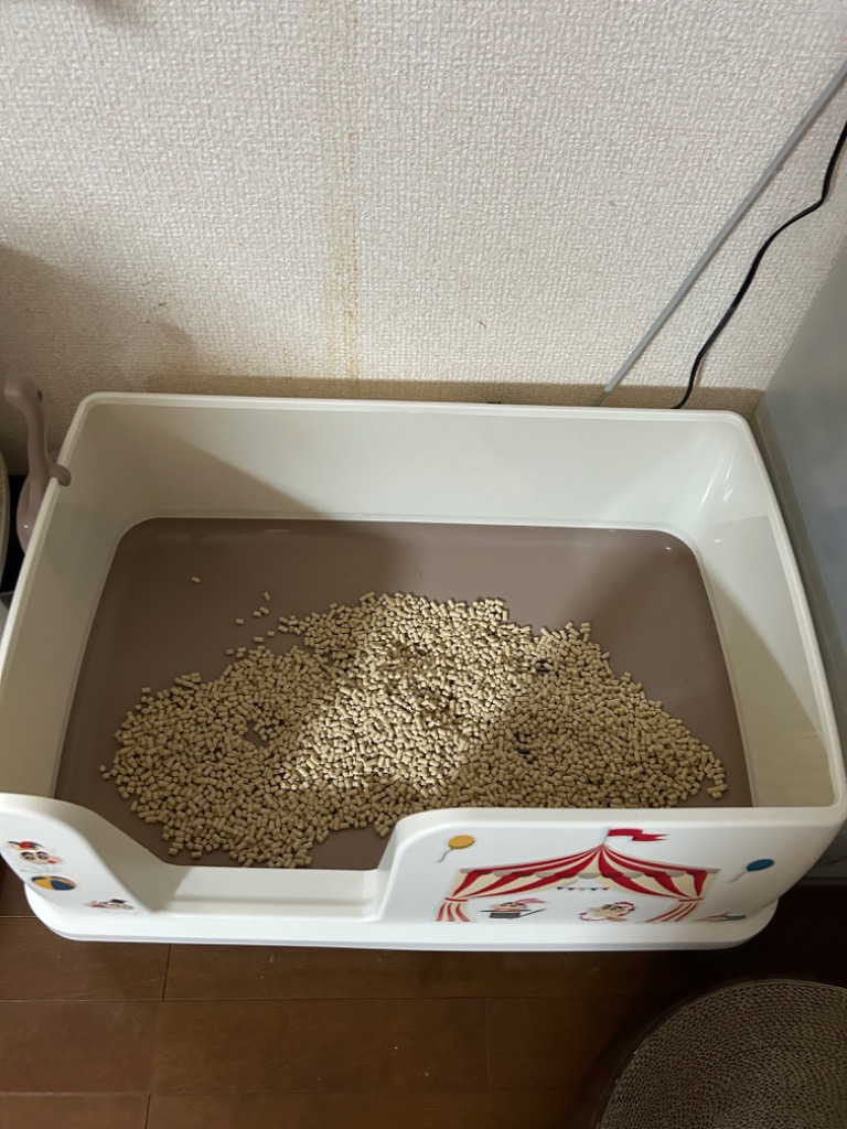 レビュー画像