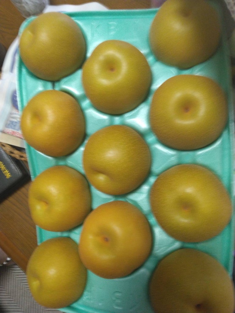 レビュー画像
