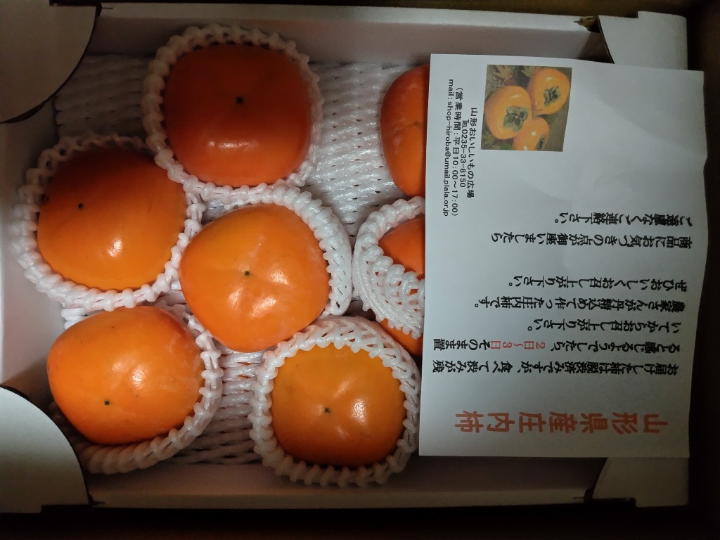 レビュー画像