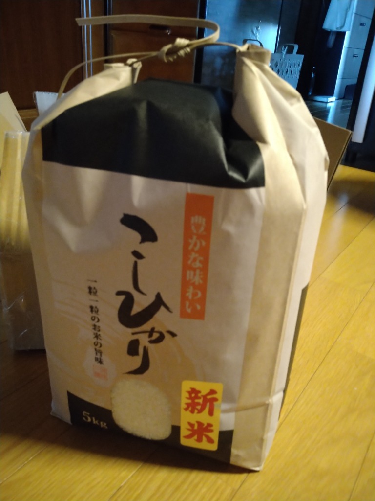 コシヒカリ 令和7年産 山形県産 新米 予約 受付中 白米 5kg 送料