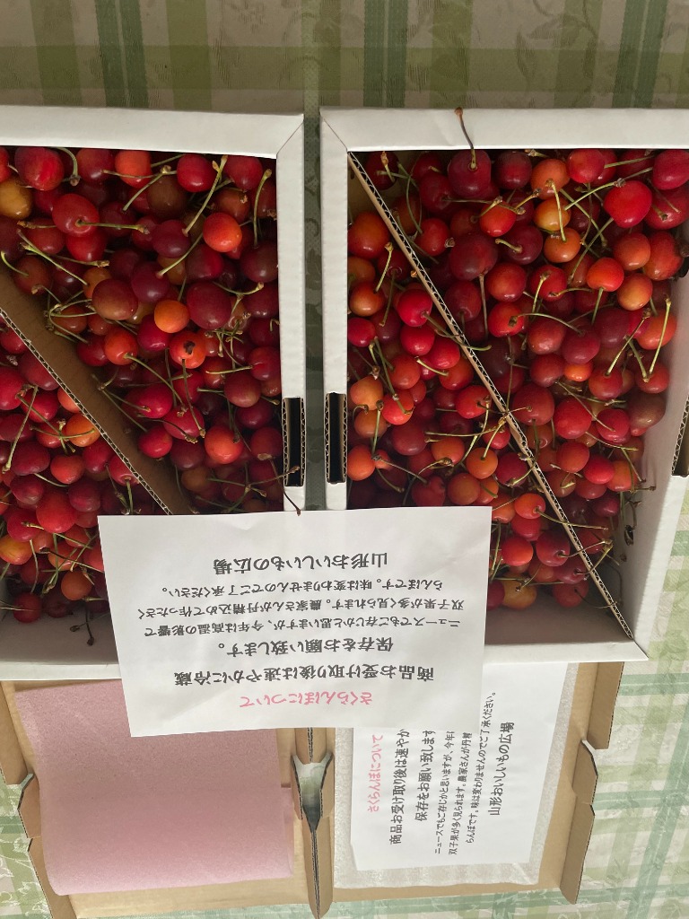 全体のレビュー画像 | 12-0