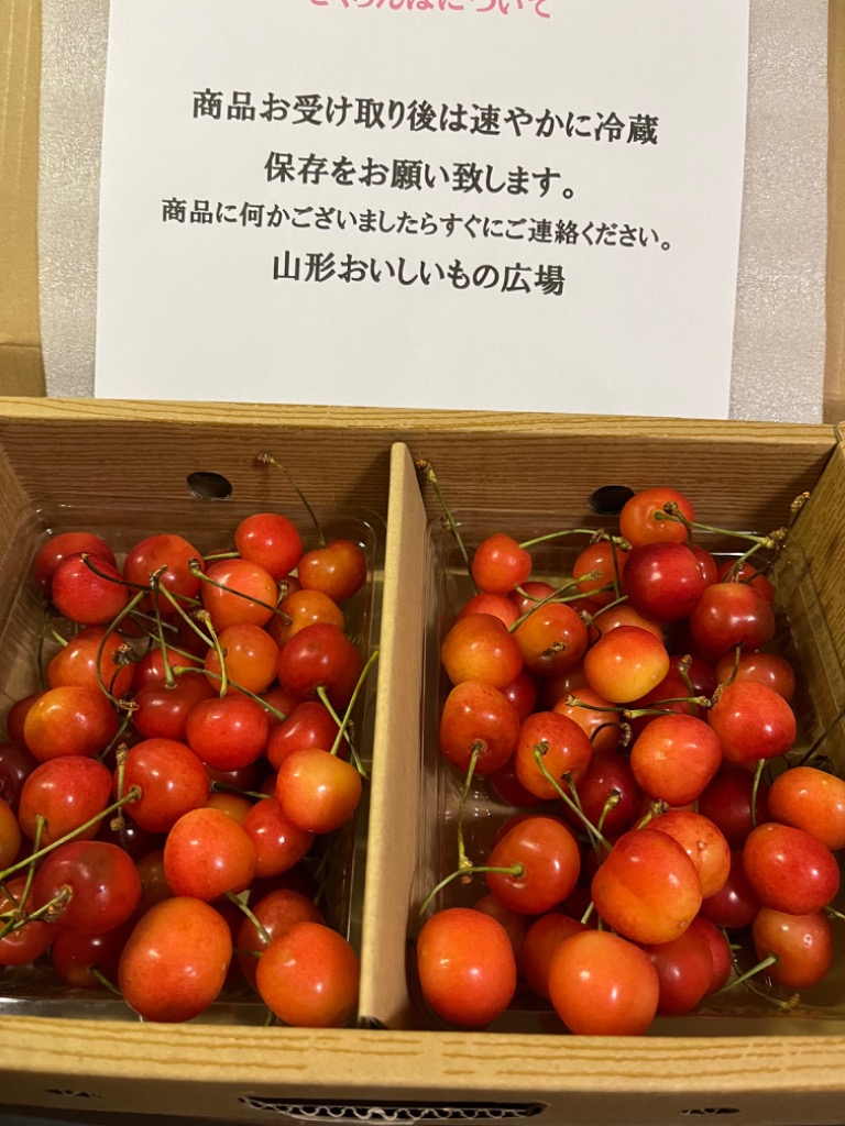 全体のレビュー画像 | 0-0