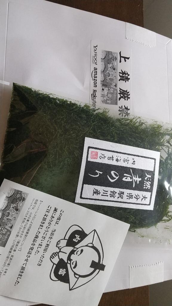 市場 送料無料 希少 天然すじ青のり原藻１０ｇ 駅館川 やっかんがわ 大分県産