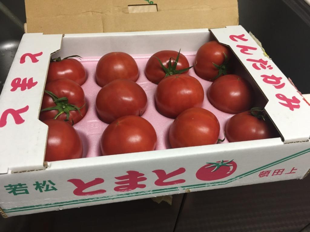 若松フルーツトマト :wakamatsu-fruittomato:山本商店ヤフー店 - 通販 - Yahoo!ショッピング