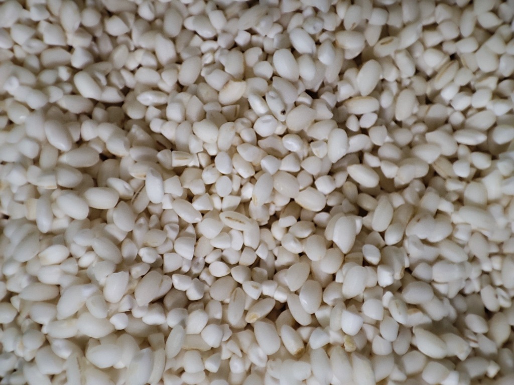 もち米 令和6年産 新米 岡山県産 ヒメノモチ 10kg (5kg×2袋 もち米 令和6年産 新米 岡山県産 ヒメノモチ 10kg (5kg×2袋