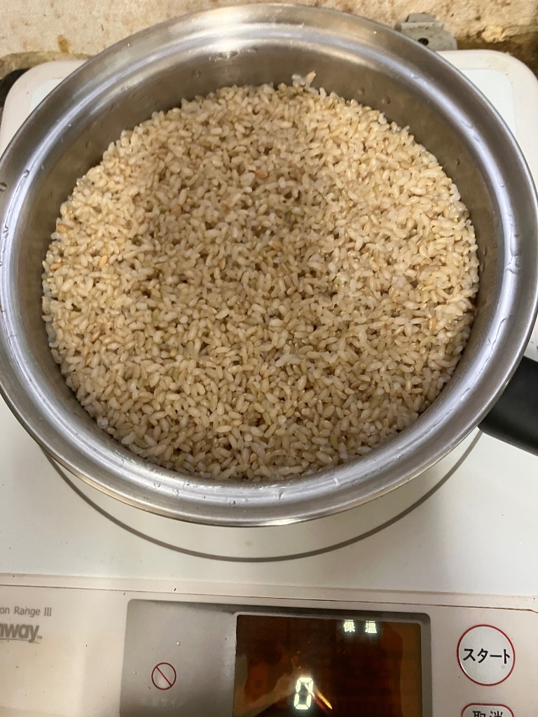 玄米 10kg「7年産 山形県産 規格外玄米 10kg」【7年産100%】【山形県産