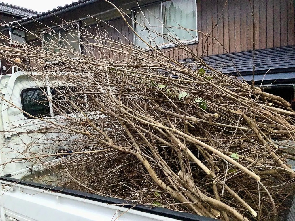 全体のレビュー画像 | 1-0