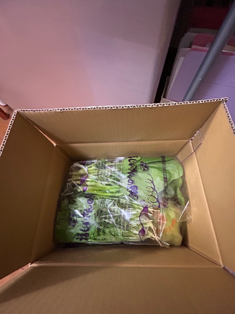 全体のレビュー画像 | 0-0