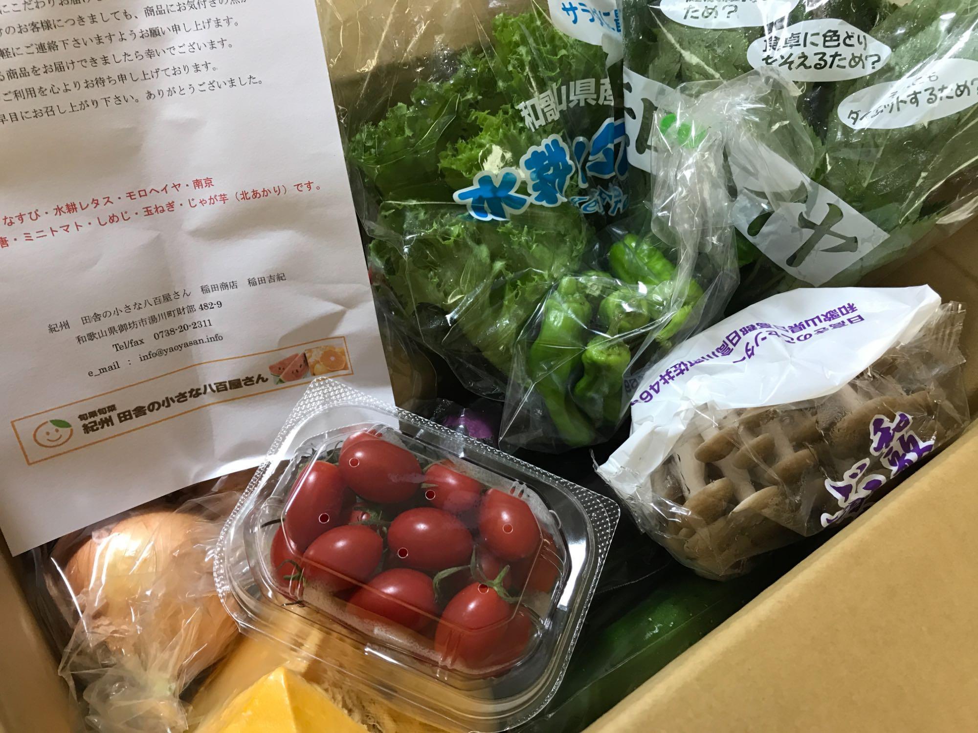 値下げ 野菜セット 旬の野菜詰め合わせ 10種以上 和歌山産 送料無料 ccps.sn