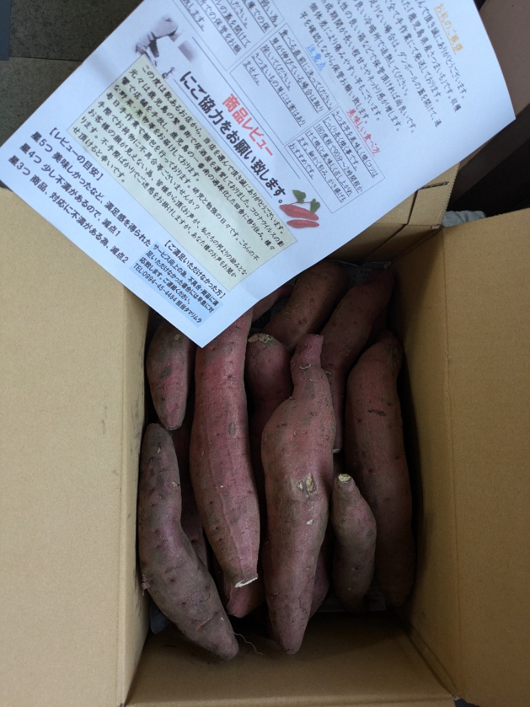 レビュー画像
