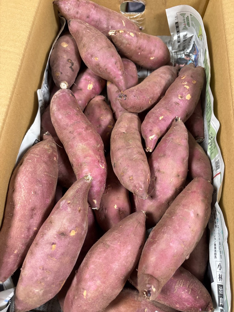 はるか100栗かぐや50ふくむらさき50金時30 サツマイモ 栗かぐや 5kg 訳あり さつまいも 紅はるか 鳴門金時