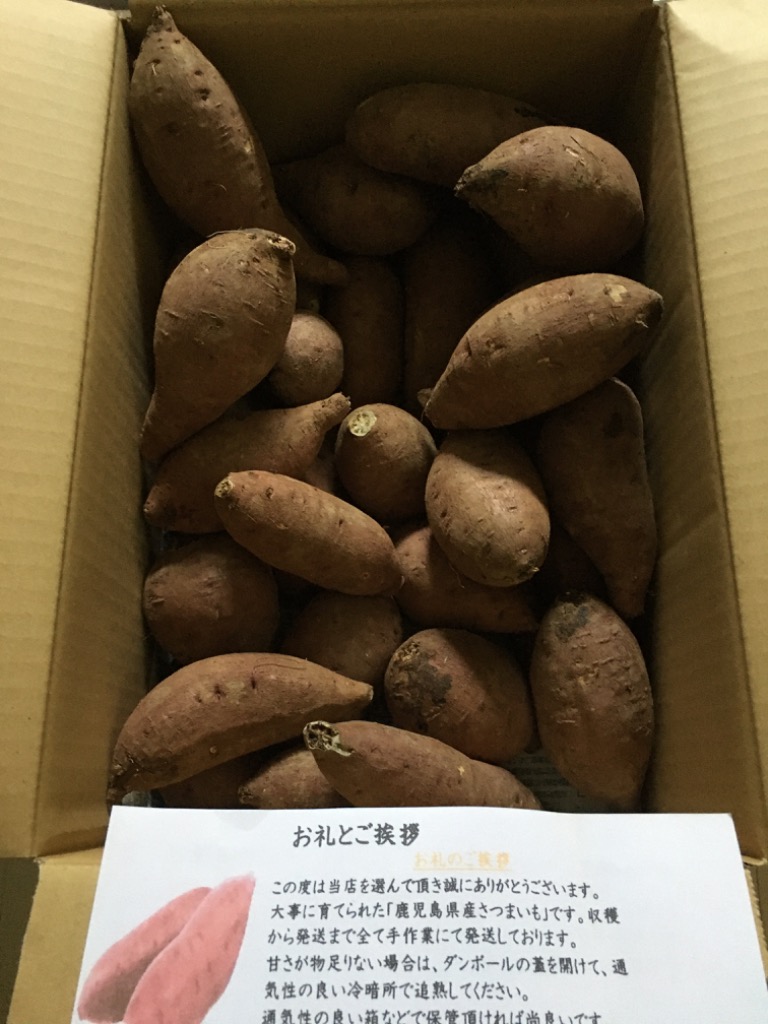 サツマイモ 栗かぐや 5kg 訳あり さつまいも 紅はるか 鳴門金時
