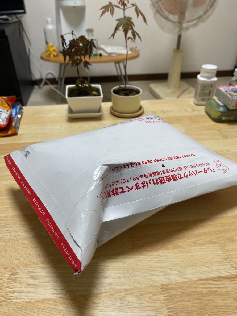 レビュー画像