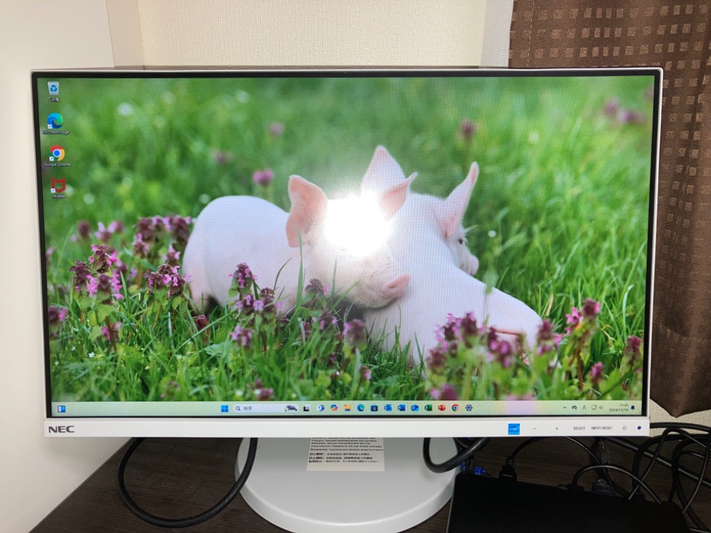 ProDesk 【中古PC】ミニPC HP Prodesk 800G5 DM 超小型