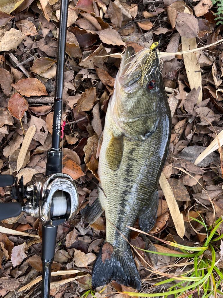 左 21アンタレスDC LEFT ノーマルギア 美品　シマノ シマノ シマノ 21アンタレスDC LEFT : フィッシング カンパイ