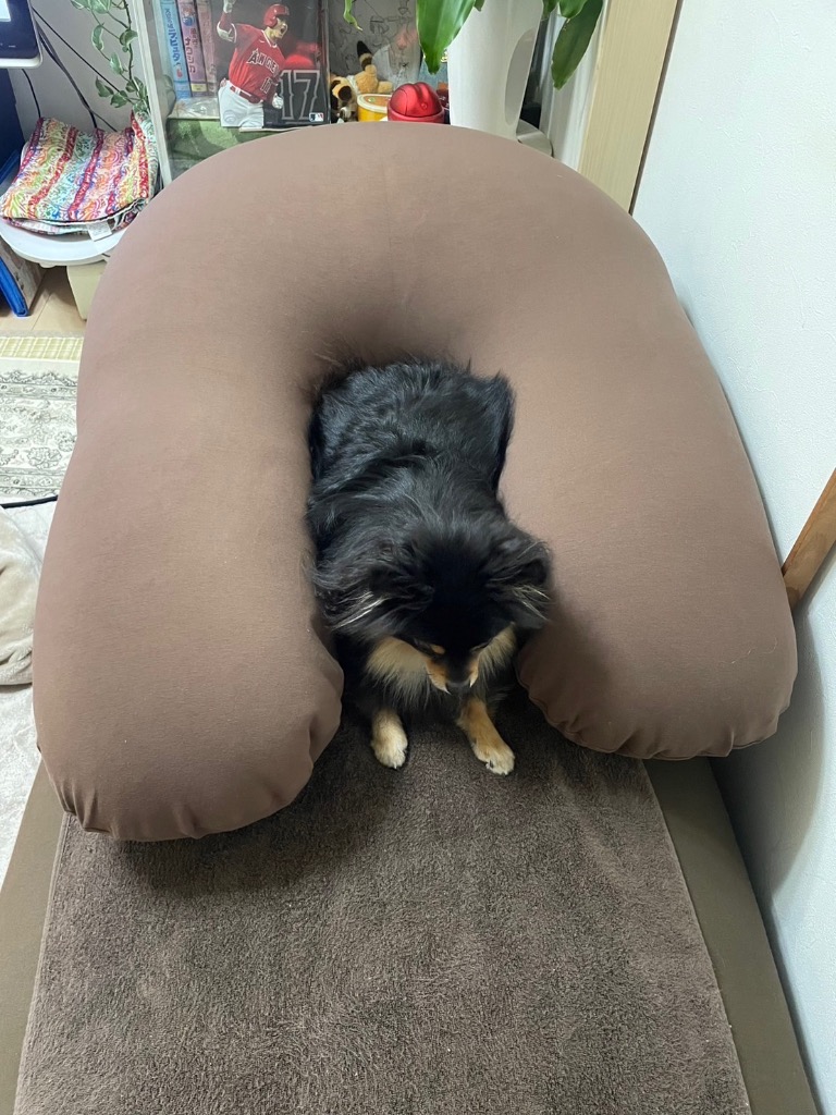 レビュー画像