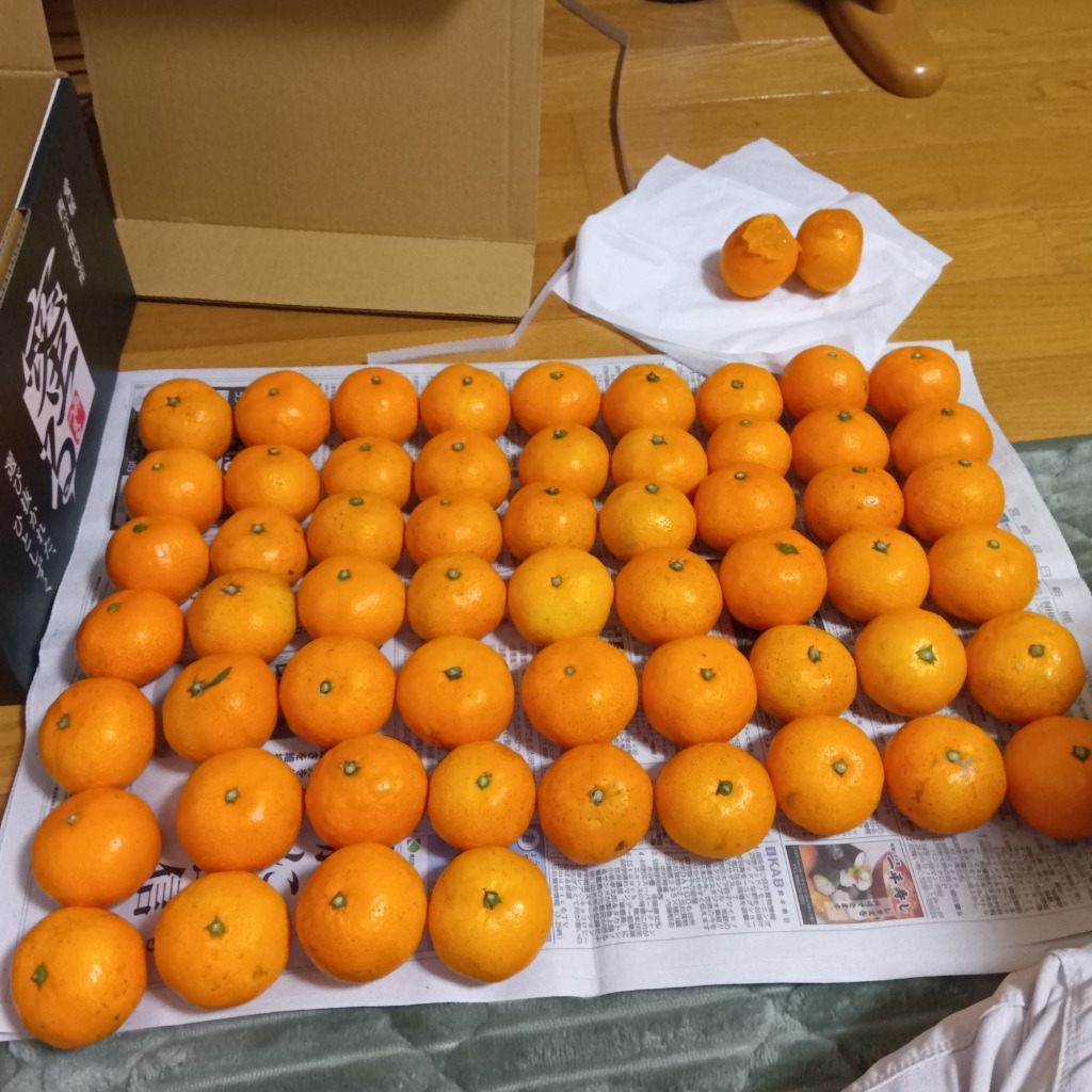 レビュー画像