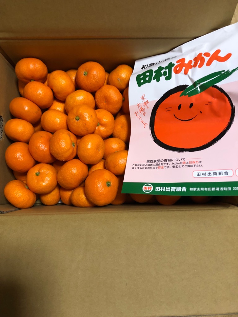 みかん 田村みかん 和歌山県産 赤秀 約5kg 小サイズ 70〜90個