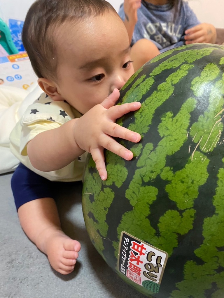 スイカ 千葉産 富里すいか ごろり甘太郎 特大玉西瓜 4L1玉9〜10kg 送料無料 訳あり品ではございません