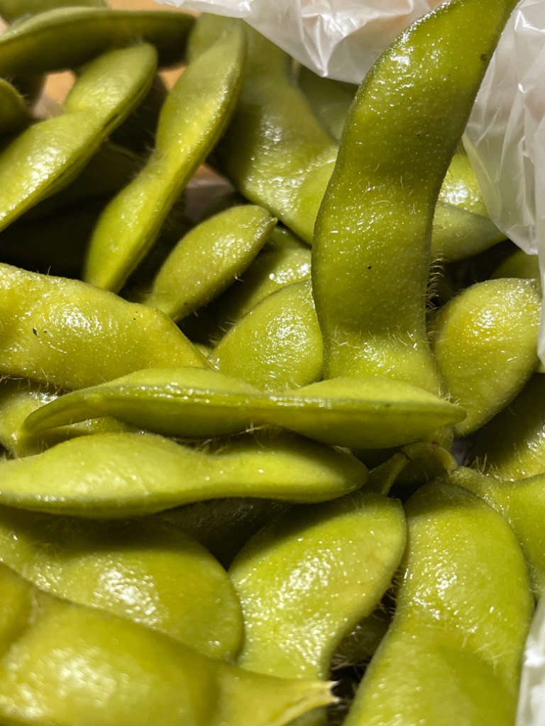 朝採り新潟ブランド本場 黒埼茶豆 2kg「くろさき茶豆」 A級品
