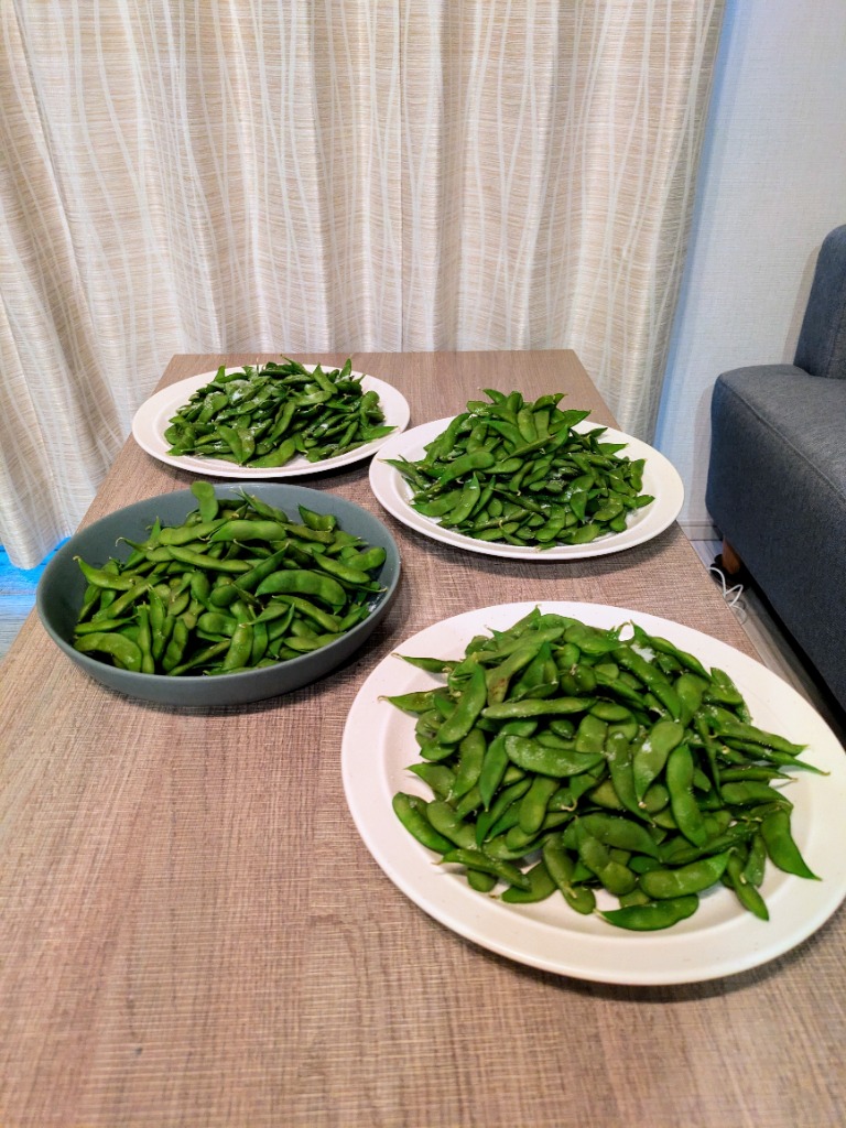 【ノリ】新潟県黒埼産 茶豆 A品2kg 規格外品 3kg 朝採り 枝豆「くろさき茶豆」3kg A級品 新潟黒埼産 送料無料 GI