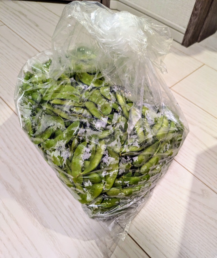 【ノリ】新潟黒埼産 枝豆 A品2kg B品3kg 黒埼枝豆 A級品 新潟 黒埼板井産 3kg「くろさき枝豆」朝どり枝豆