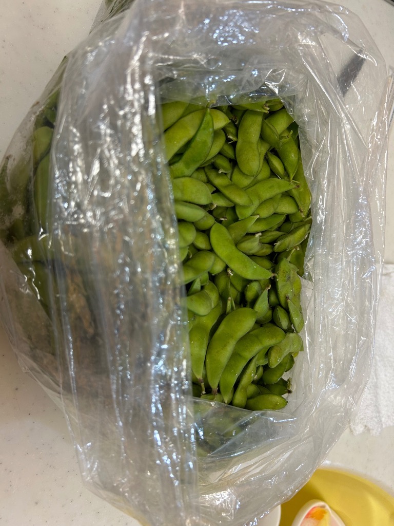 新潟県黒埼産 くろさき茶豆2kg  A品 朝採り 新潟ブランド 本場 くろさき茶豆 2kg 黒埼茶豆 A級品