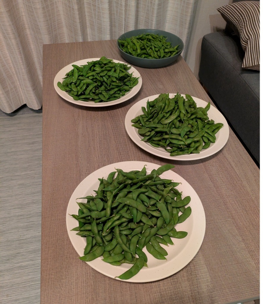 朝採り 新潟ブランド 本場 くろさき茶豆 2kg 黒埼茶豆 A級品