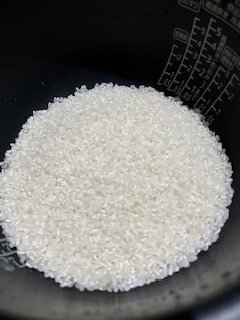 ココ☺︎ 無農薬コシヒカリ普通精米10kg(5kg×2)令和6年産 91fc98c0f3619fab515d2f0b8adc93