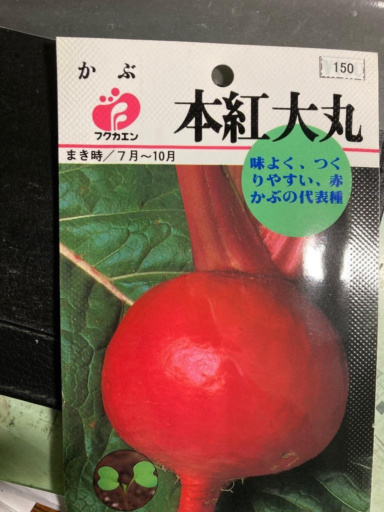 カブ 京千舞 タキイ種苗 2.5ml 野菜種 秋まき RF 新品未使用正規品