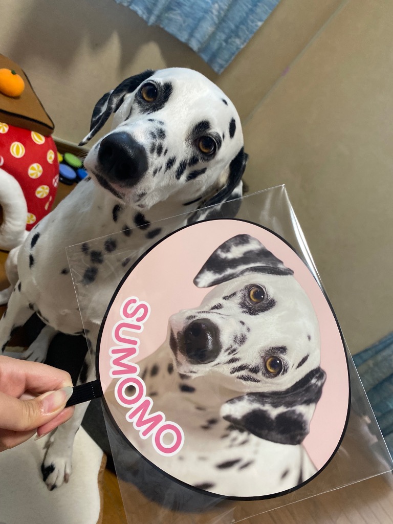 3件目のレビュー画像 | 0