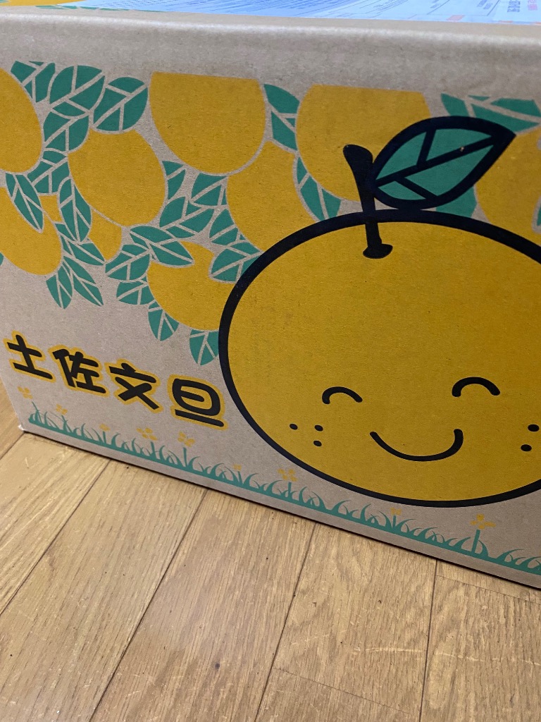 土佐文旦　10kg 119 文旦 土佐文旦 10kg サイズお任せ (約20〜30玉）訳あり ご家庭用