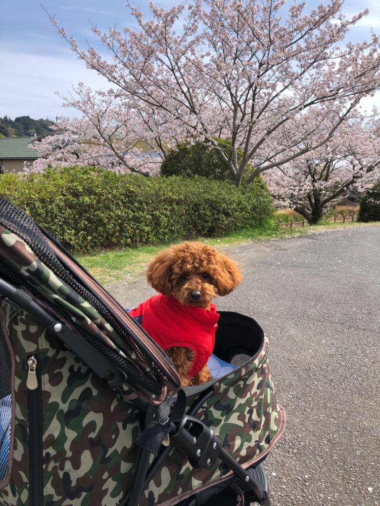 全体のレビュー画像 | 7-0