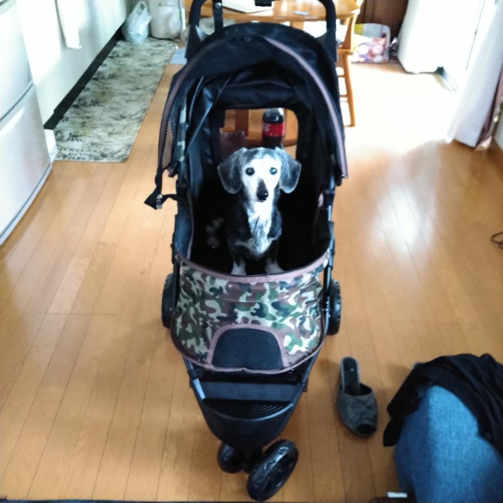 全体のレビュー画像 | 13-0