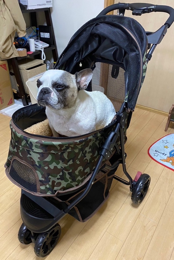 全体のレビュー画像 | 0-0