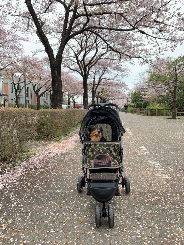 全体のレビュー画像 | 8-0