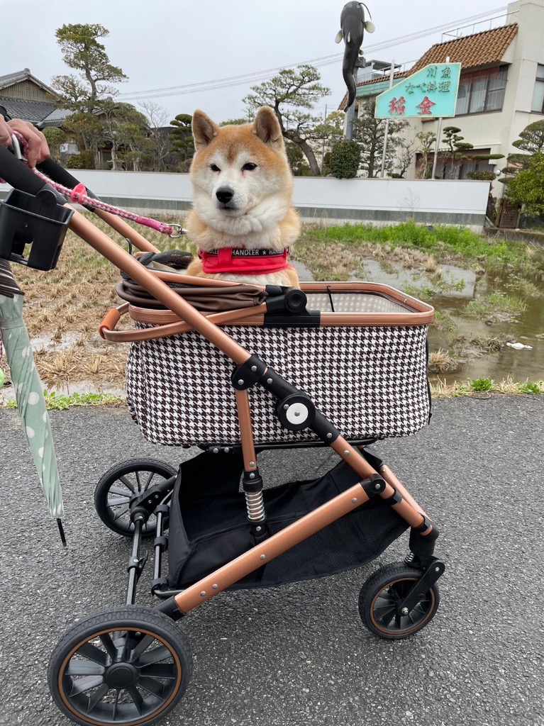全体のレビュー画像 | 1-0