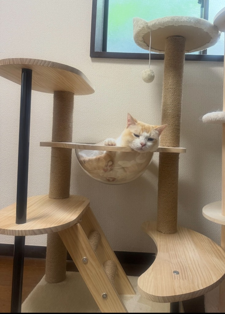 キャットタワー 据え置き 木製 宇宙船 多頭 おしゃれ ボンボンおもちゃ付き 麻 キャットタワー 据え置き 木製 宇宙船 多頭 おしゃれ ボンボン