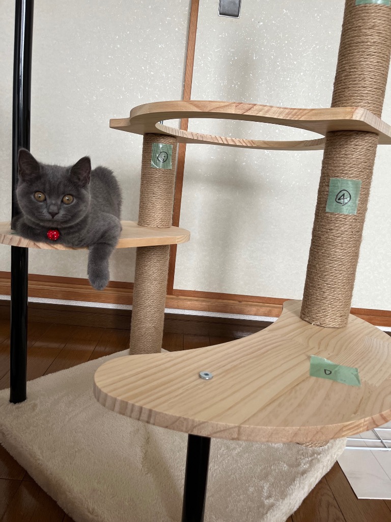 キャットタワー 据え置き 木製 宇宙船 多頭 おしゃれ ボンボンおもちゃ