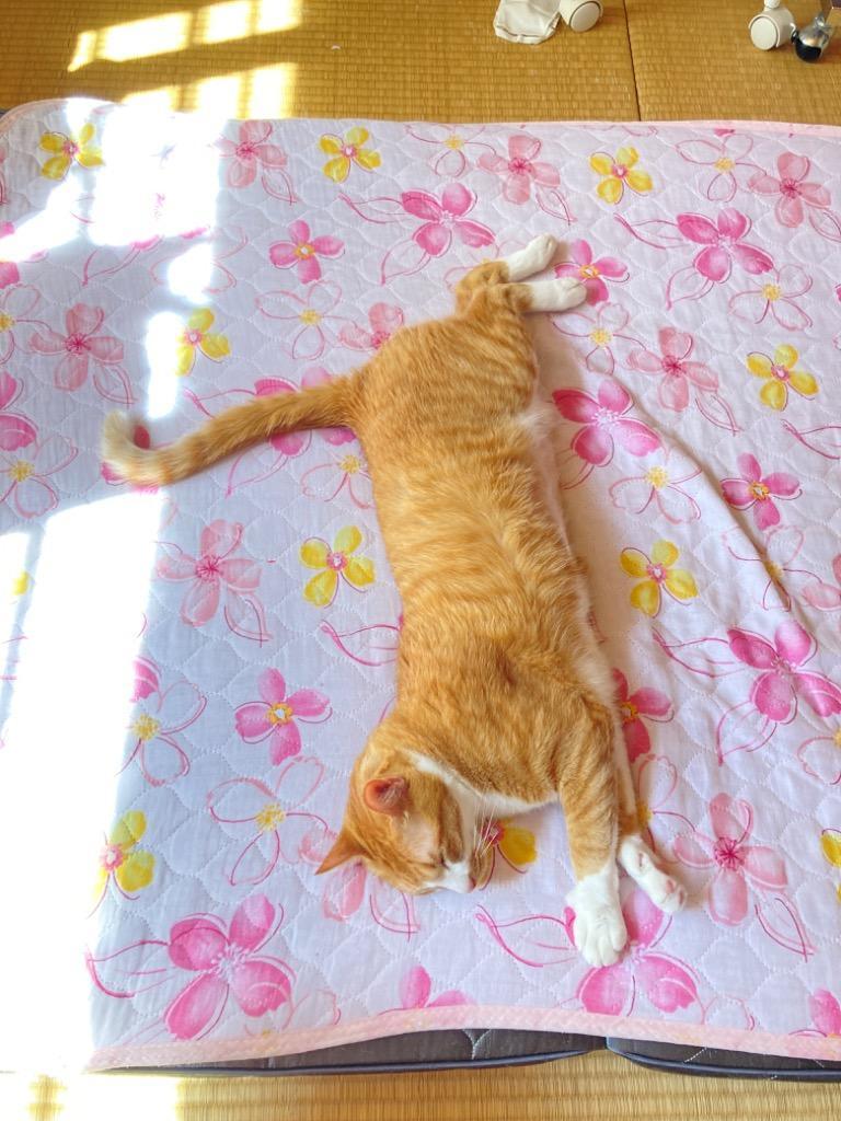1件目のレビュー画像 | 0