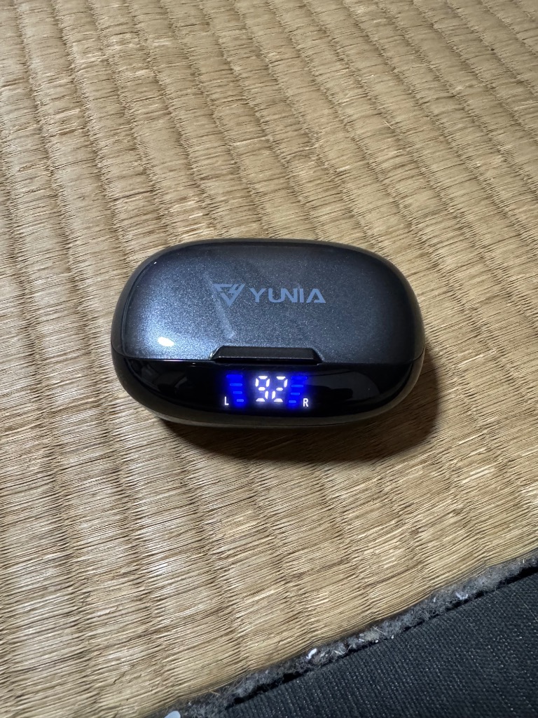 レビュー画像