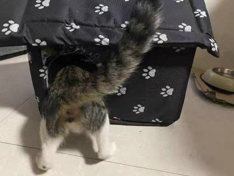1件目のレビュー画像 | 0